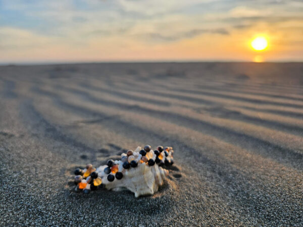 Healing Shield and Grounding at sunset on a shell